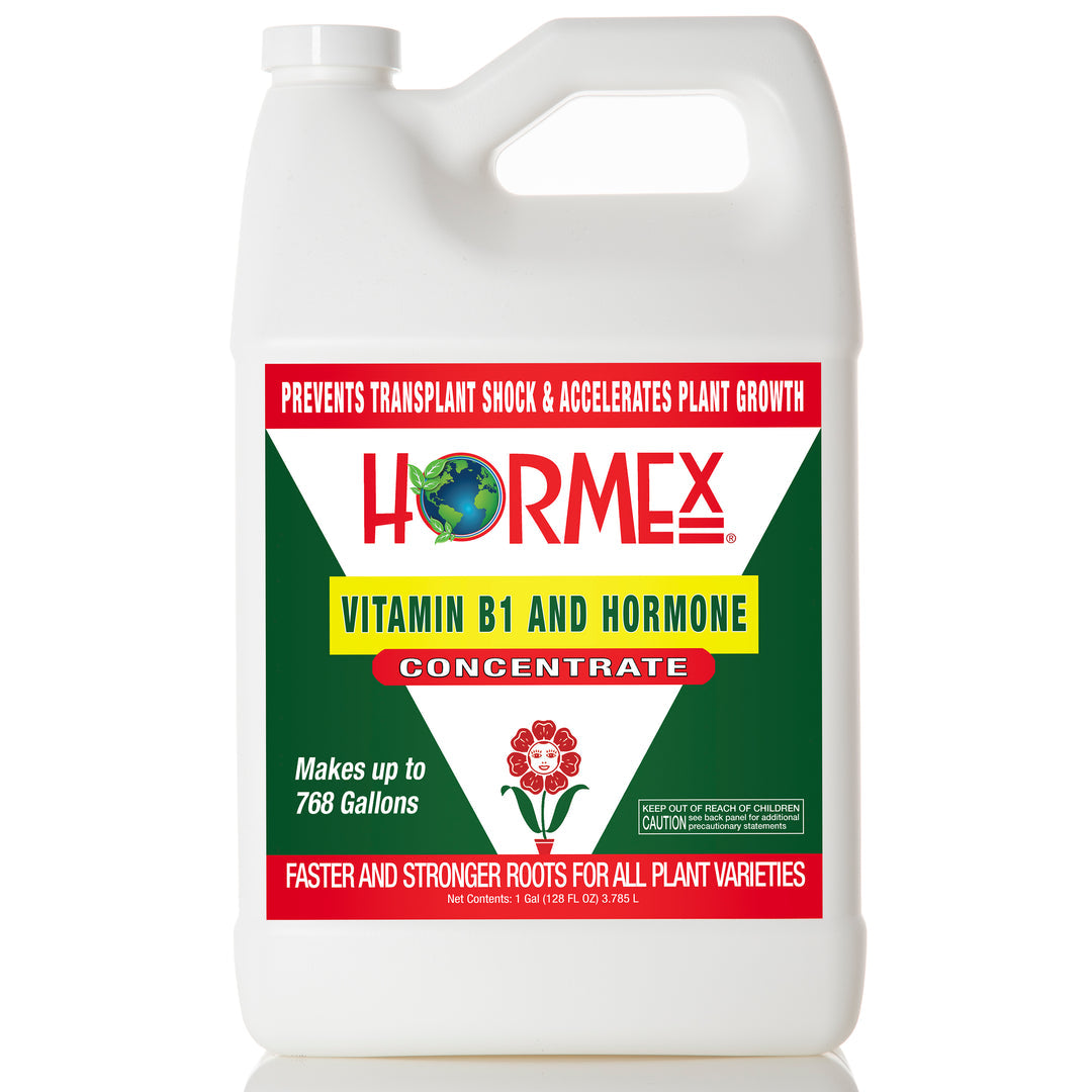 Hormex Vitamin B1 & Hormone Concentrate
