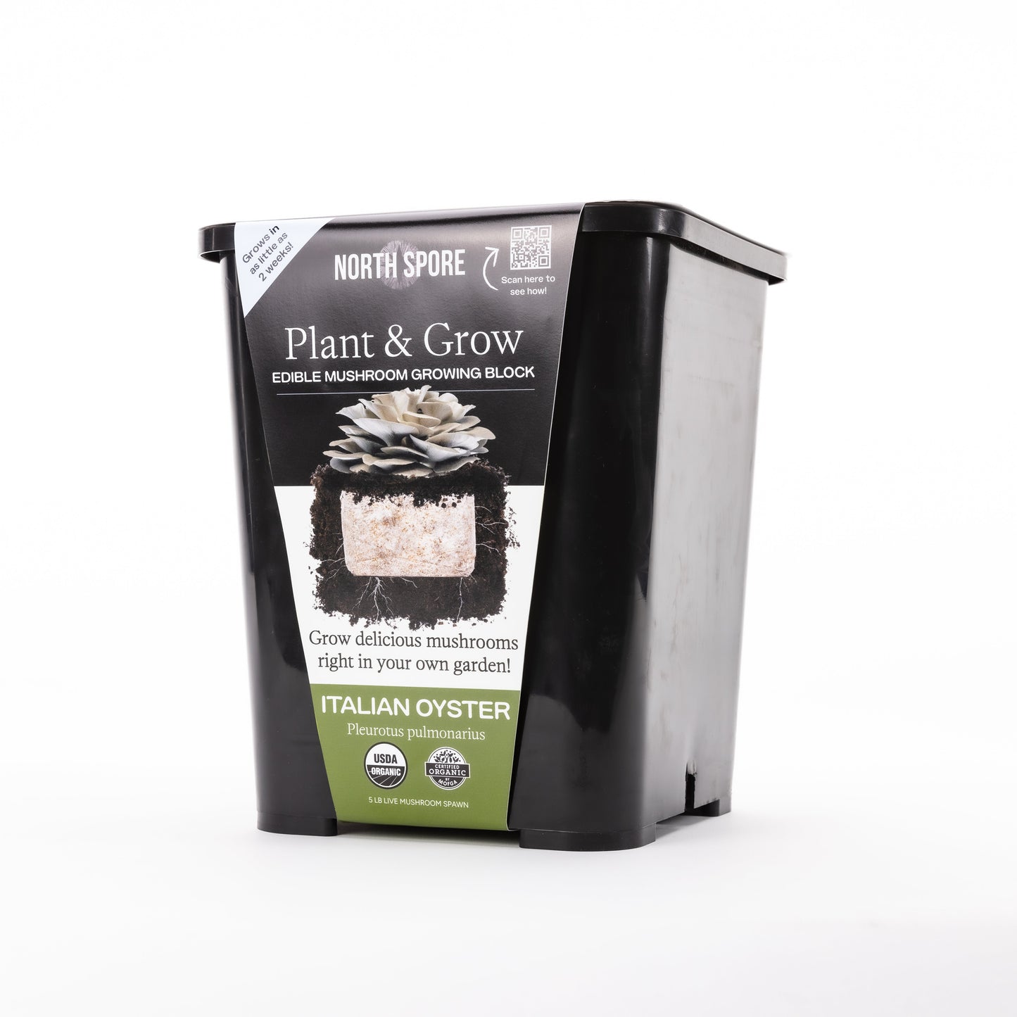 Northspore Plant & Grow Kit