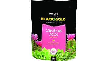 Black Gold Cactus Mix