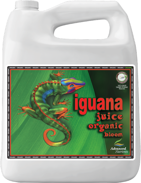 True Organics Iguana Juice Bloom