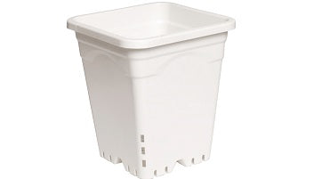 9"x9" Square White Pot, 10" Tall