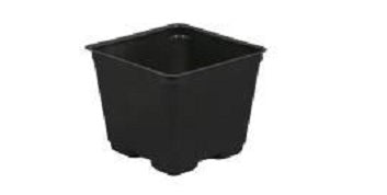 Gro Pro Square Plastic Pot Black 4 in (880/Cs)