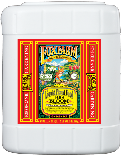 Big Bloom Liquid Plant Food