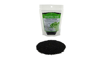 Handy Pantry Chinese Cabbage Sprouting Seeds