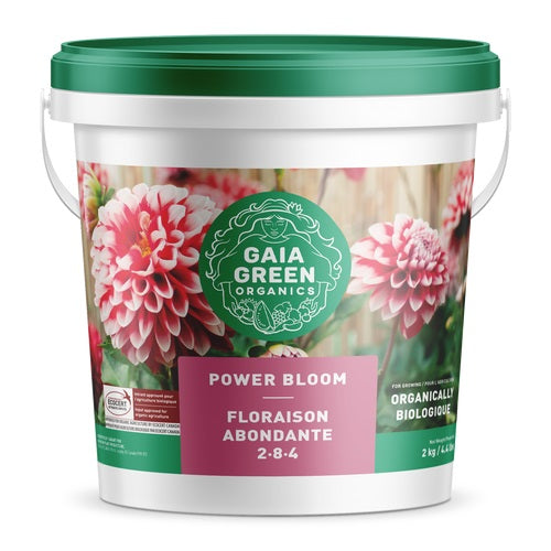 Gaia Green Power Bloom