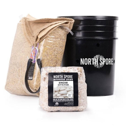 NorthSpore 'MushBucket' Mushroom Bucket Grow Kit Oysters