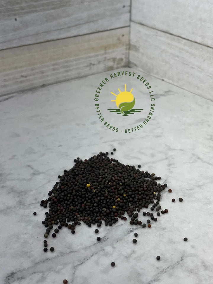 Red Russian Kale Seeds