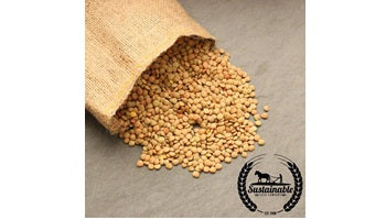 Handy Pantry Organic Lentil Sprouting Seeds
