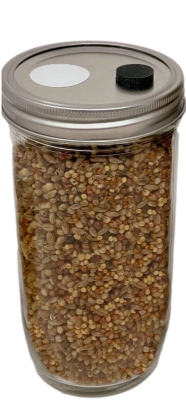 Midwest Grow Kit 24 oz Premium Super Quick-Colonizing 5-grain Jar