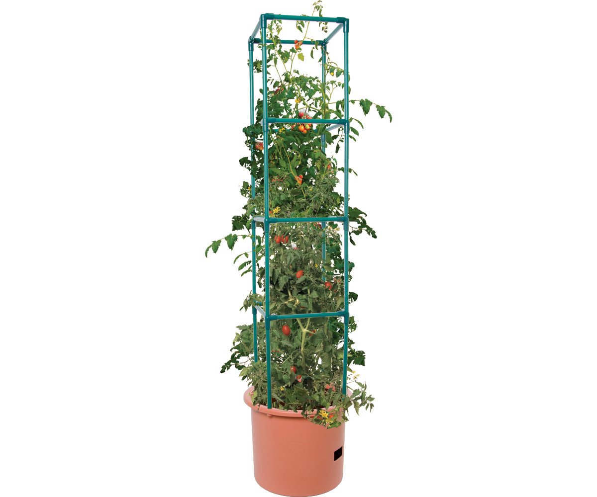 Heavy Duty Tomato Barrel w/ Tower