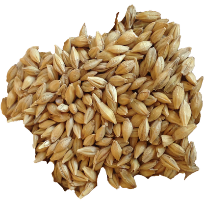 Barley - Organic Sprouting Barley 9lb