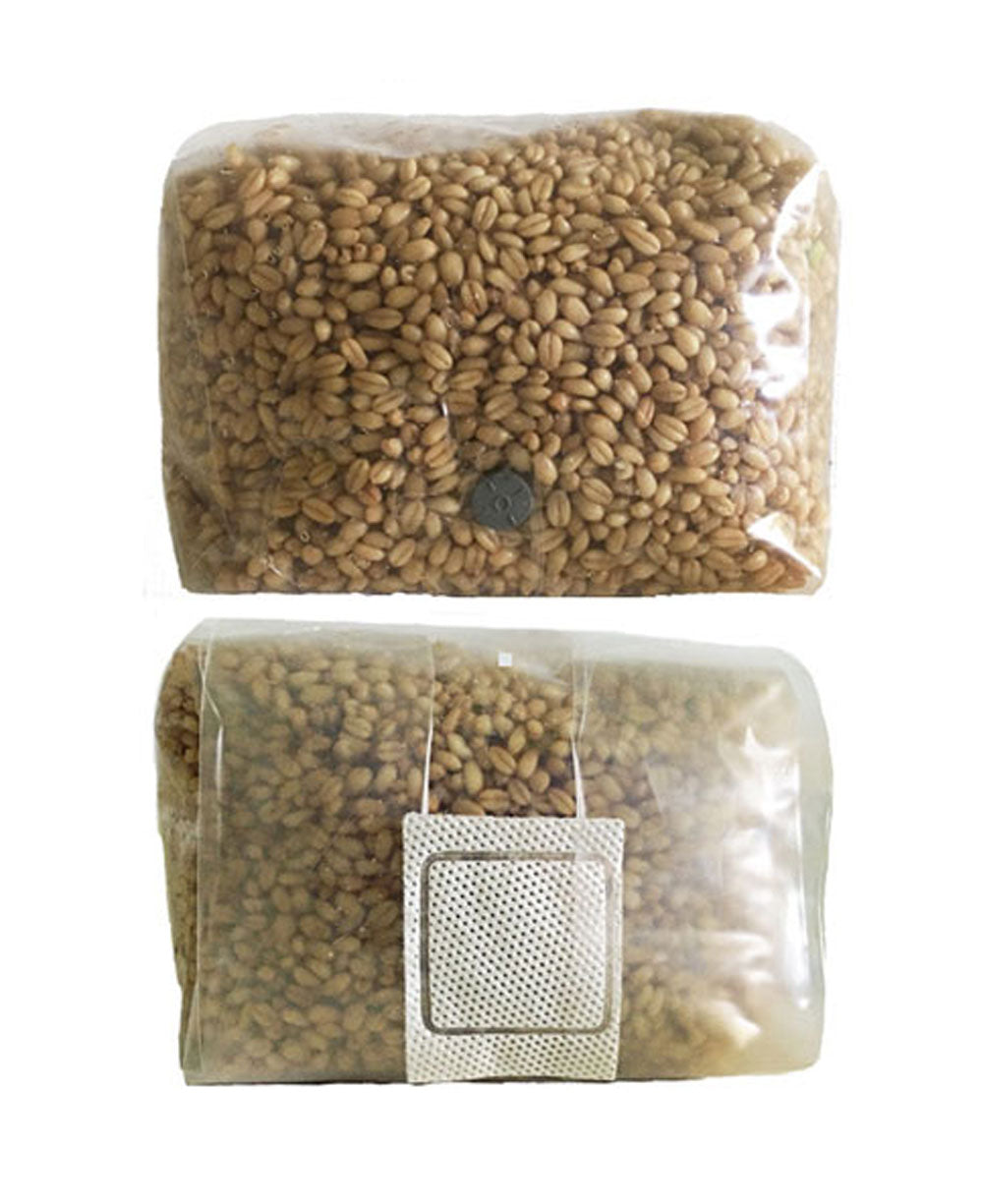 SaltyGrows Grain Bag