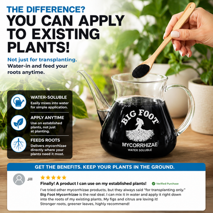 Big Foot Mycorrhizae Concentrate