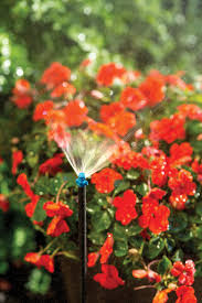 Drip Depot Ajustable Staked Riser Sprayers