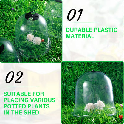Plant Cloche Humidity Dome