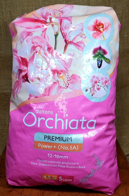 Orchiata NZ (Pinus Radiata)
