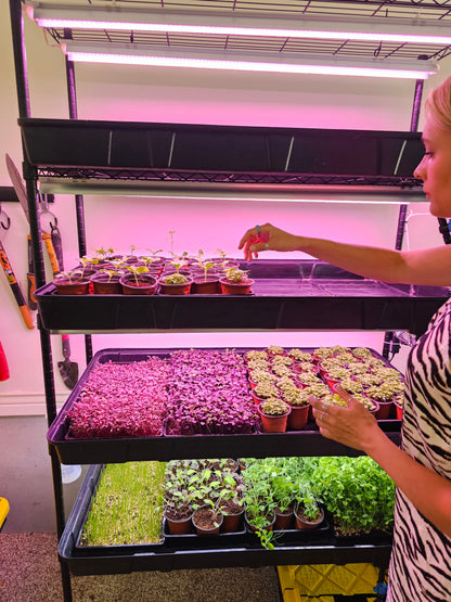 MicroFARM 3-Level Grow Tower