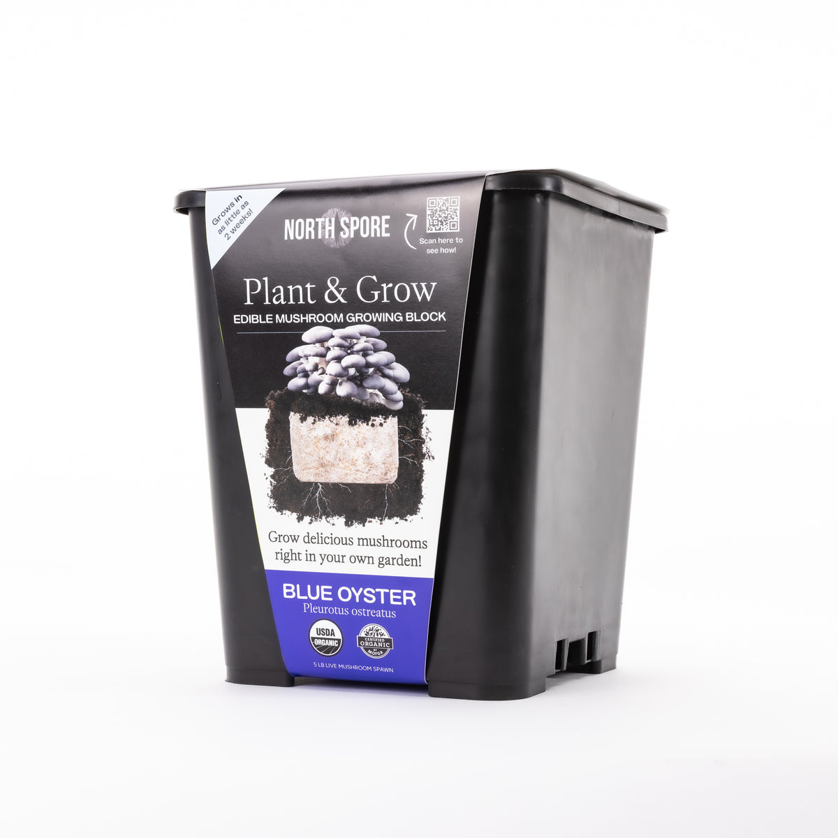 Northspore Plant & Grow Kit