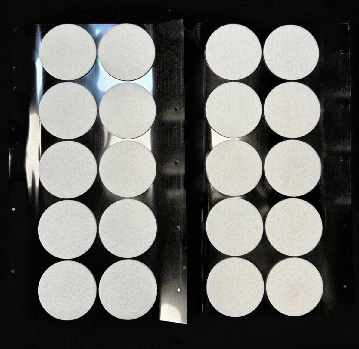 Monotub Adhesive Filter Disks