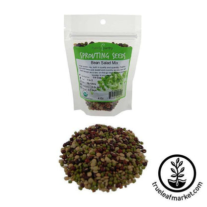 Handy Pantry Sprouting Seeds - Bean Salad