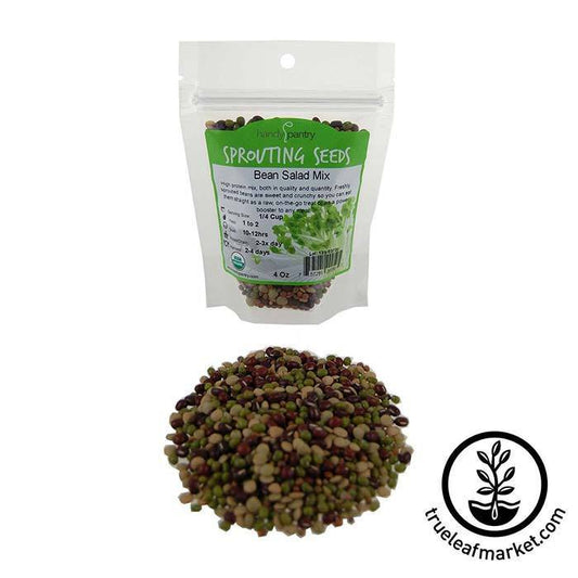 Handy Pantry Sprouting Seeds - Bean Salad