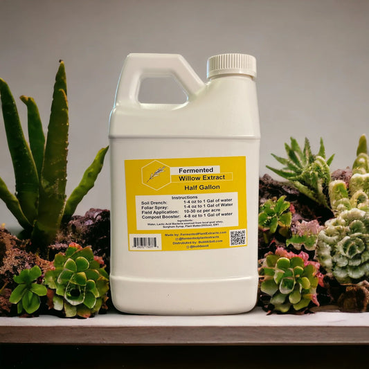 Fermented Plant Extracts - Willow