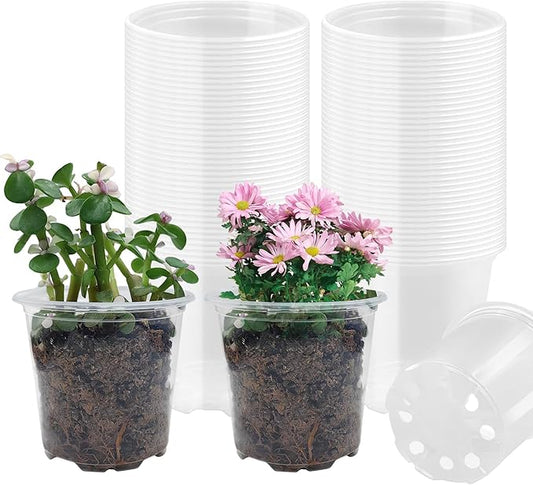 Clear Plant pots with Drainage Holes, Transparent