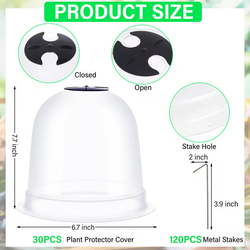 Plant Cloche Humidity Dome