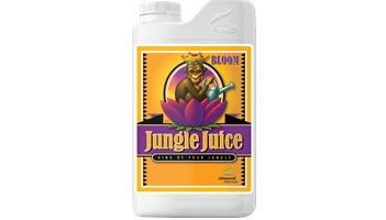 Jungle Juice Bloom