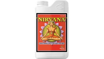 Nirvana