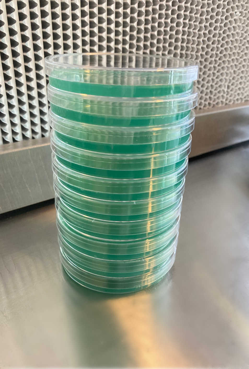 Pre-Poured Sterilized Malt Extract Agar Plates