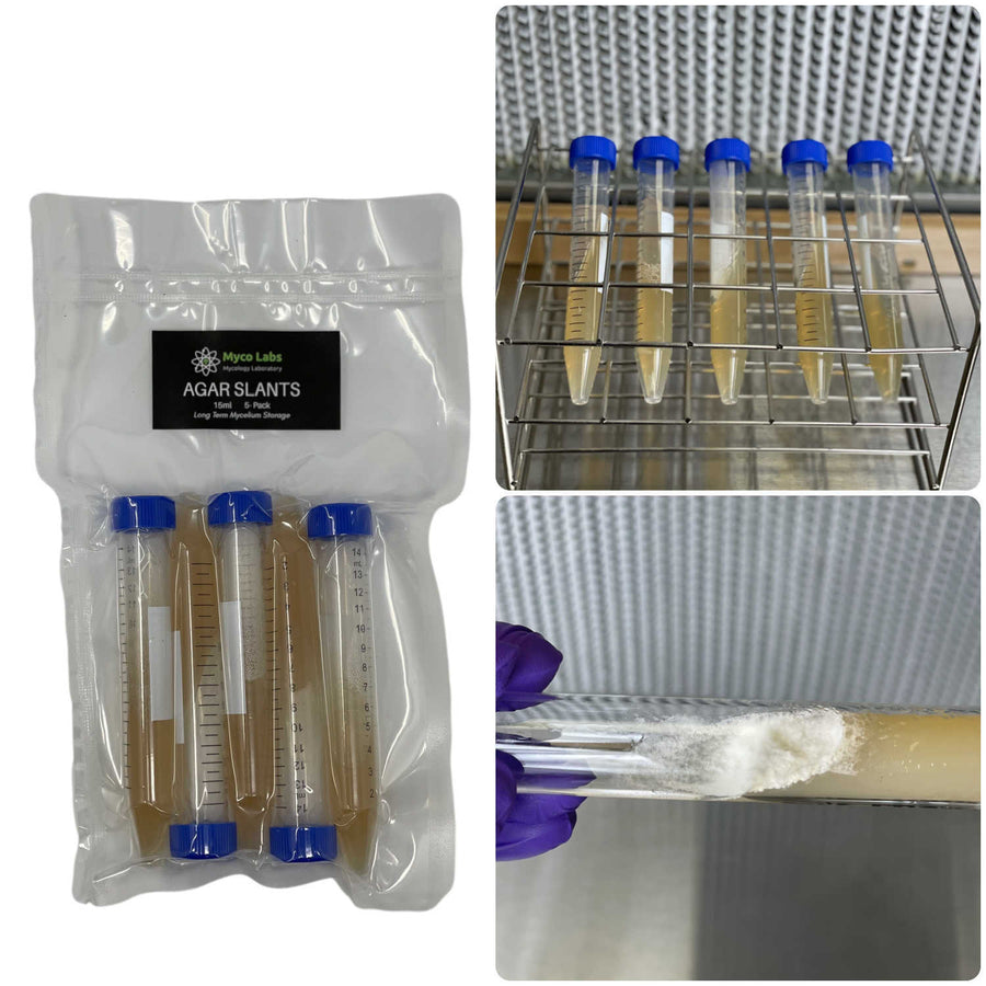 Myco Labs Sterilized Malt Extract Agar Slants