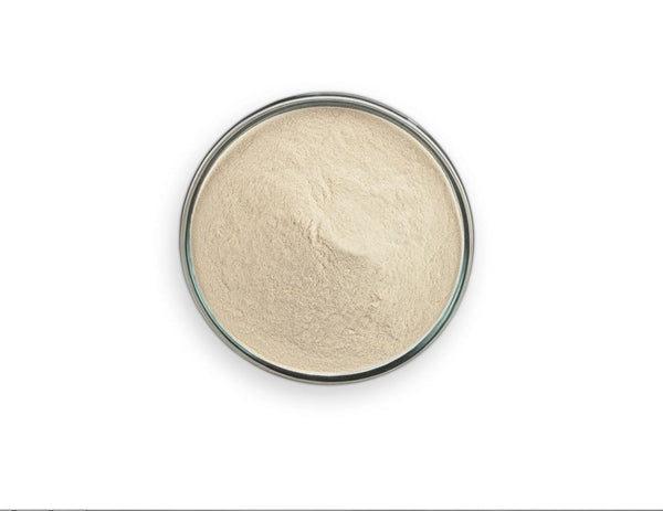 Myco Labs AGAR AGAR Powder 100% Pure High Strength Powder (1 LB)