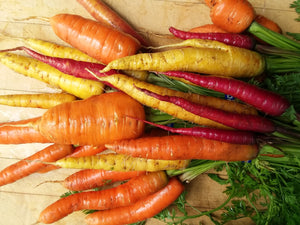 Snake River Seeds - Root Vegetables