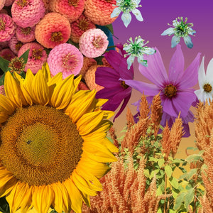 Snake River Seeds - Flowers