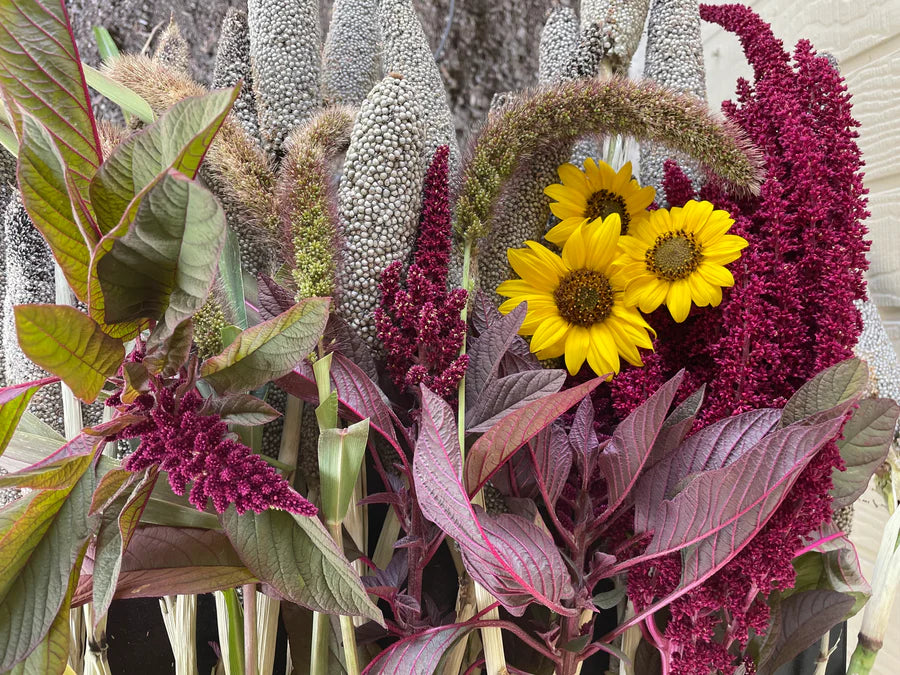 Snake River Seeds - Flowers