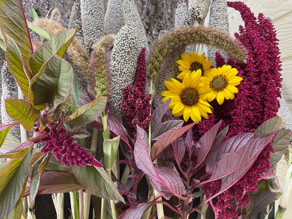 Snake River Seeds - Flowers