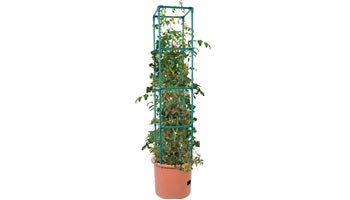 Heavy Duty Tomato Barrel w/ Tower