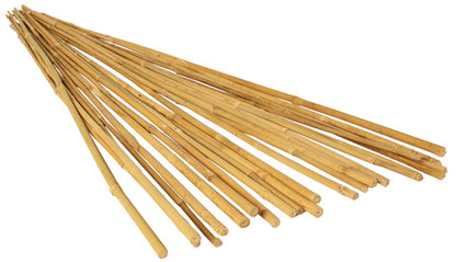 Bamboo Landscape Stakes at