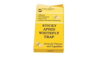 White Fly Traps, 5 pack