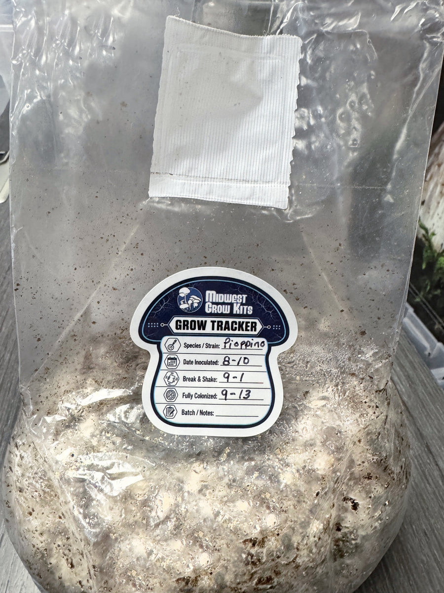 Grow Tracker Labels: Reusable Write & Wipe Kit (6 Pack + Marker)