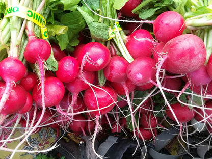 Snake River Seeds - Root Vegetables