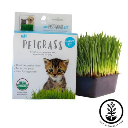 Mini Pet Grass Kit Handy Pantry