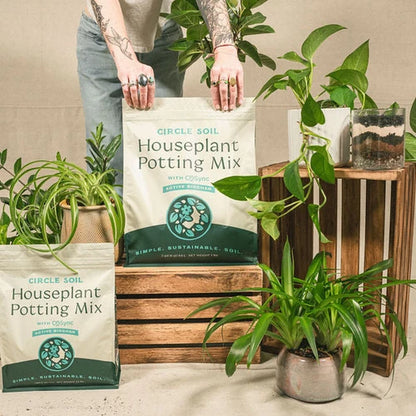 Circle Soil Houseplant Potting Mix