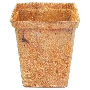 PlantBest Coco Coir Pot - Square - 3.5in Case 900