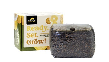 Ready.Set.Grow! All-In-One Mushroom Magic Grow Kit