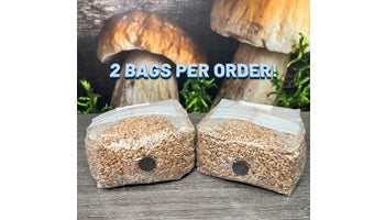 Midwest Grow Kits The Original Rye Spawn Bags