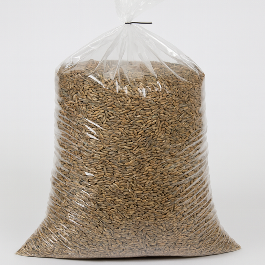 Bulk Organic Rye Berries Midwest Grow Kits