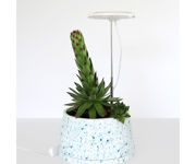 SunBlaster Halo 360 LED Plant Light, w/ USB Adaptor and Timer