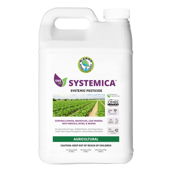 SNS Systemica